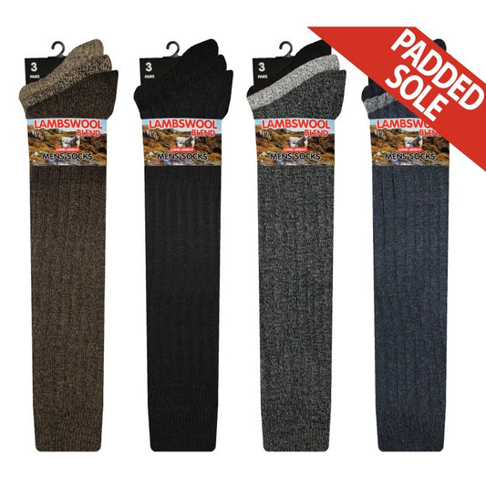 Mens 6-11 Long Wool Blend Padded Sole Socks